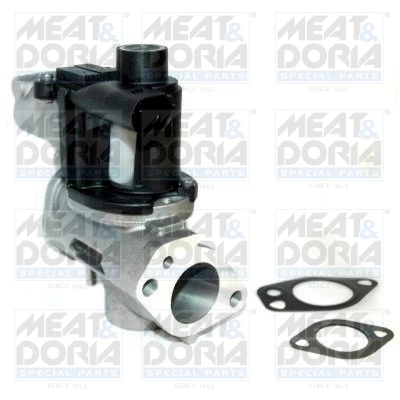 EGR Valve